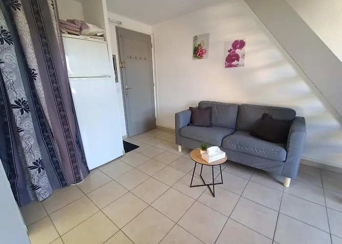 T2 Mezzanine Climatise Avec Terrasse - 5 Pers. Pres Et Parc Des Dosses - Parking Inclus - Fr-1-799-17 Appartement *
